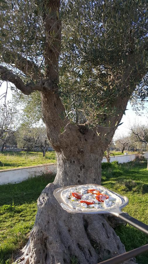 Masseria Cesarina B&B Castellana Grotte Extérieur photo